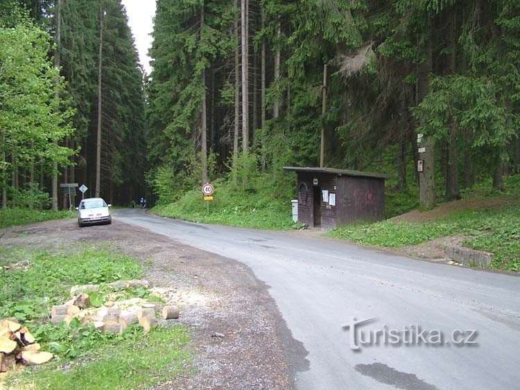 Jamník